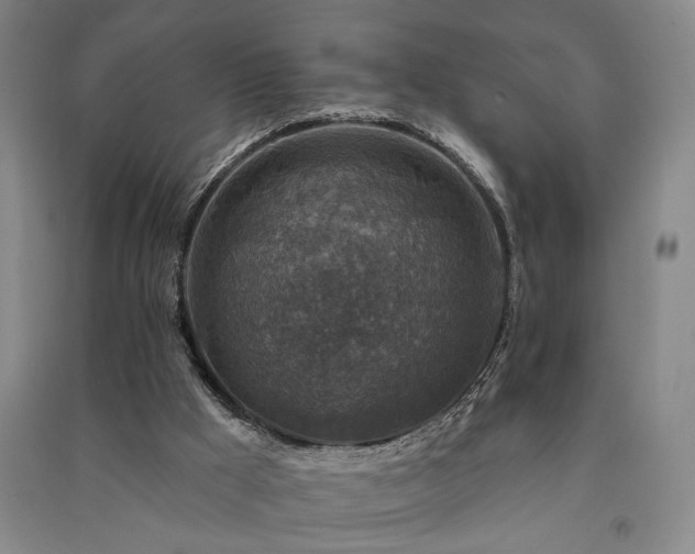 X0000091350009200708171441