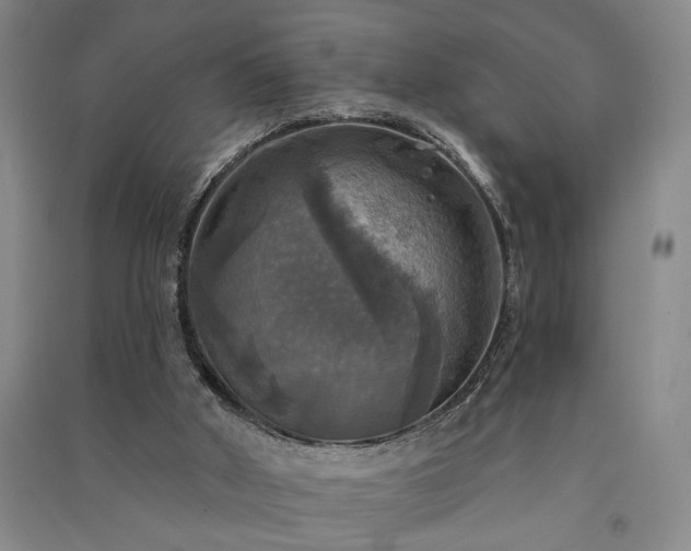 X0000091350010200708171441