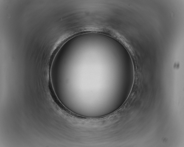 X0000091350011200708171441