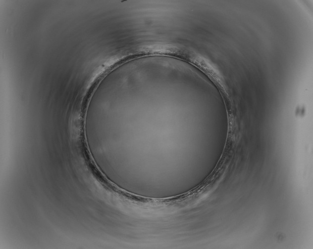 X0000091350012200708171441