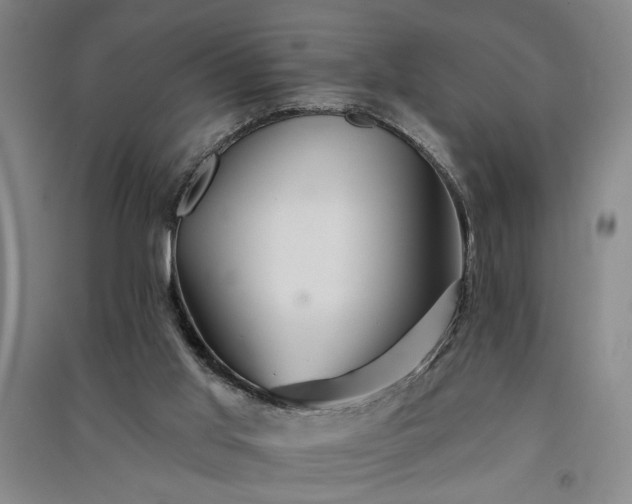 X0000091350013200708171441