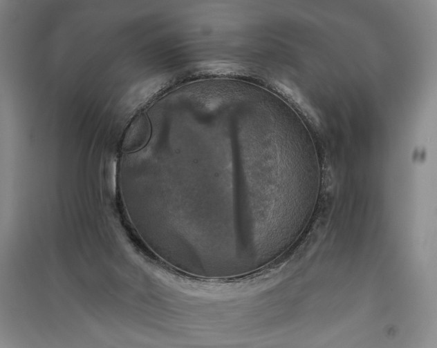 X0000091350014200708171441