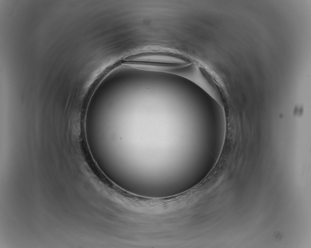 X0000091350015200708171441
