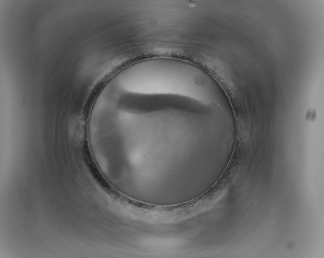 X0000091350016200708171441