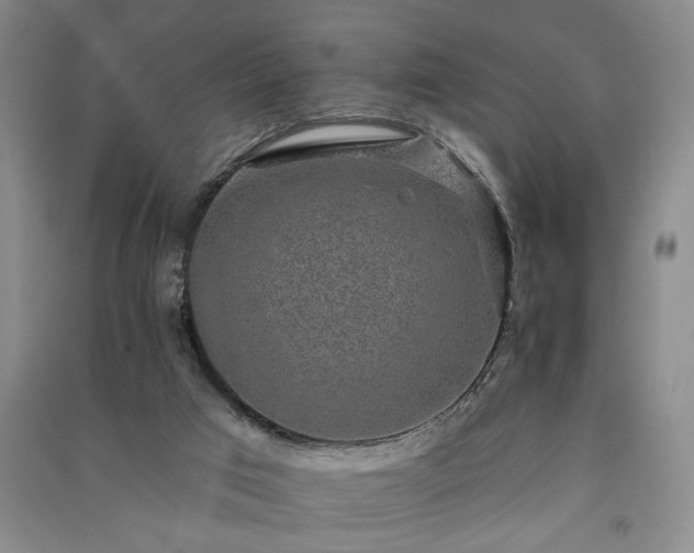 X0000091350017200708171441