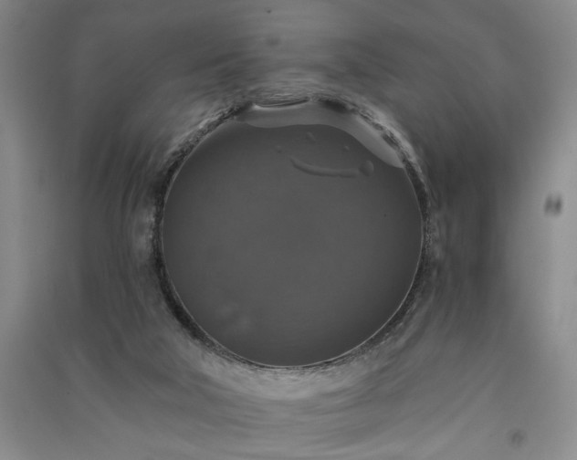 X0000091350018200708171441