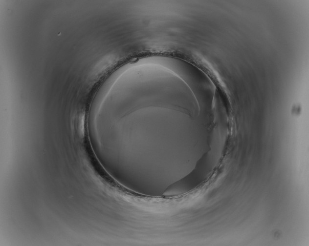 X0000091350019200708171441