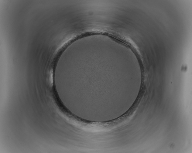 X0000091350020200708171441