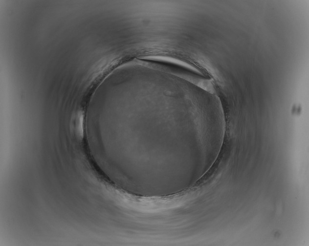 X0000091350022200708171441