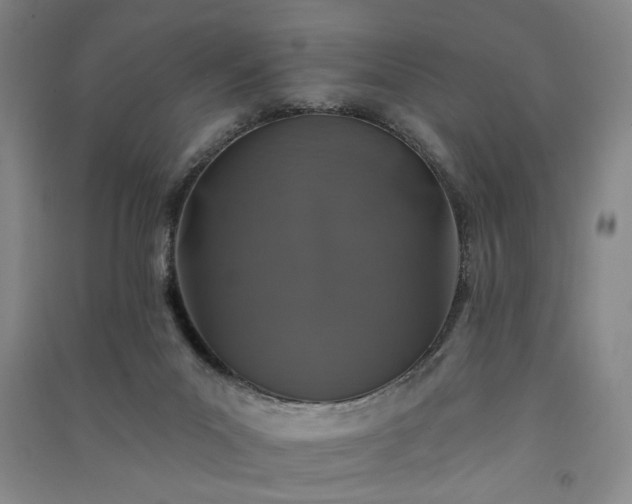 X0000091350023200708171441
