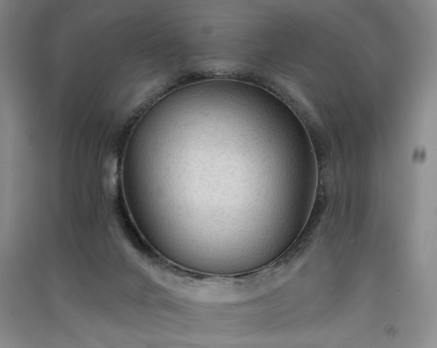 X0000091350024200708171441