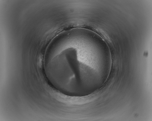 X0000091350026200708171440