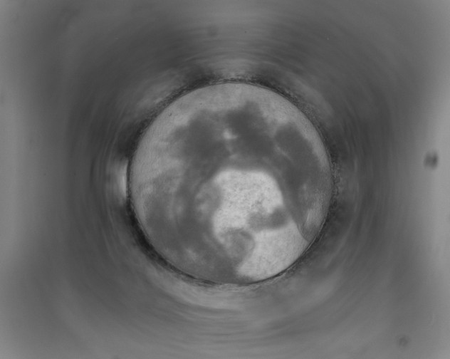X0000091350028200708171440