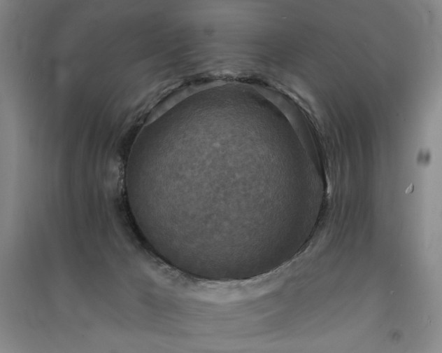 X0000091350029200708171440