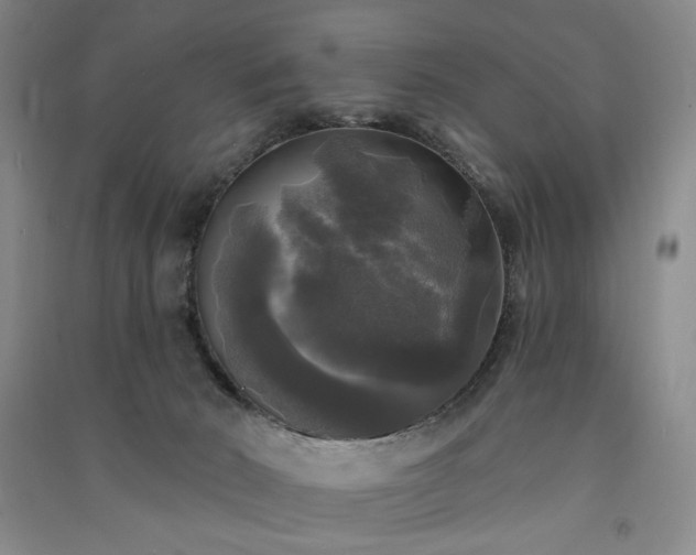 X0000091350030200708171440