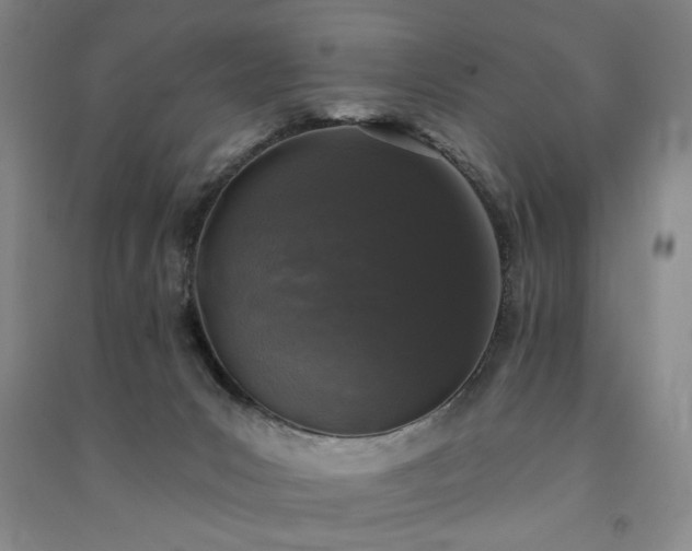 X0000091350031200708171440