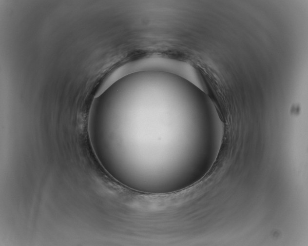 X0000091350033200708171440