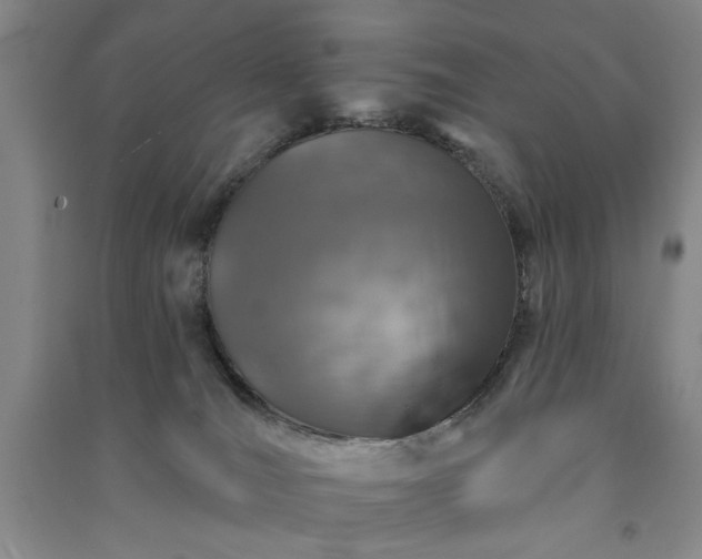 X0000091350036200708171440