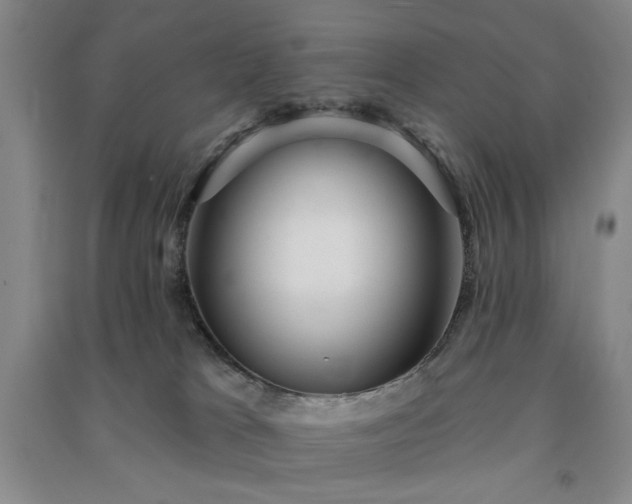 X0000091350037200708171440