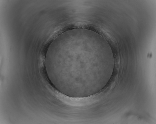 X0000091350038200708171440