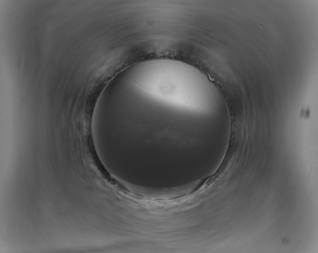 X0000091350039200708171440