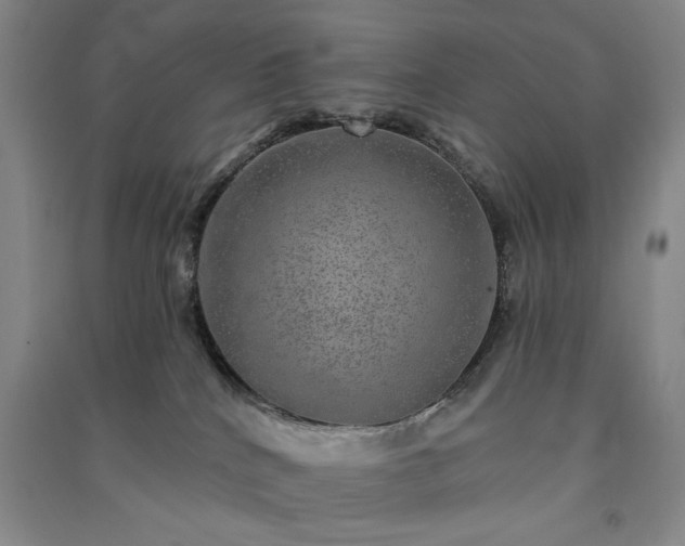 X0000091350040200708171440