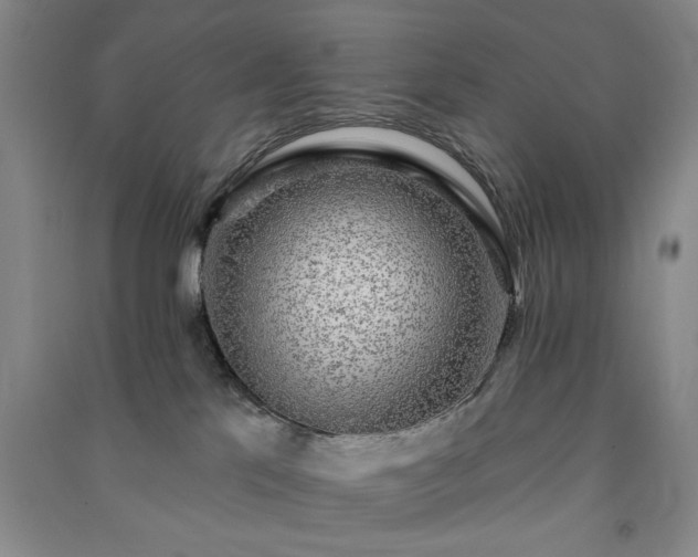 X0000091350041200708171440