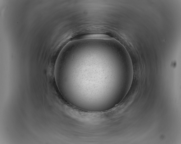 X0000091350044200708171440