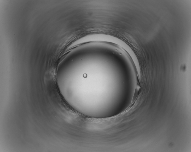 X0000091350045200708171440