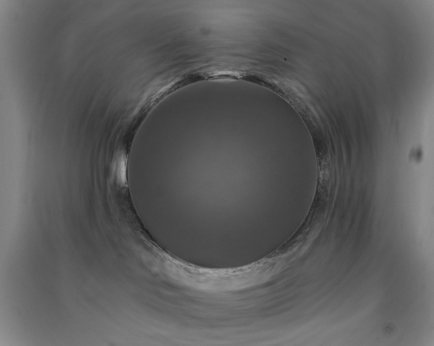 X0000091350046200708171440