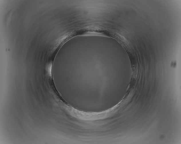 X0000091350047200708171440