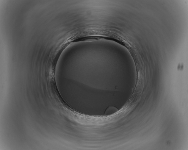 X0000091350048200708171440