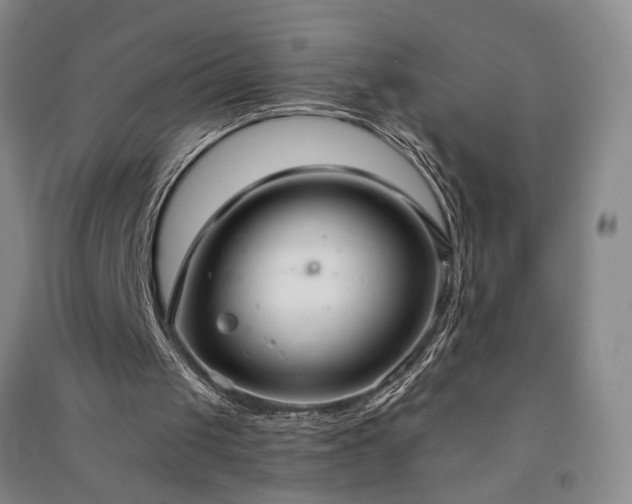 X0000091350049200708171440