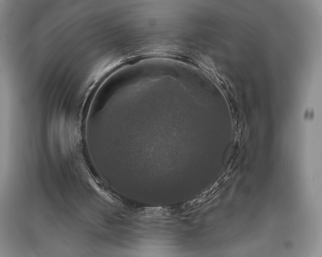 X0000091350050200708171440