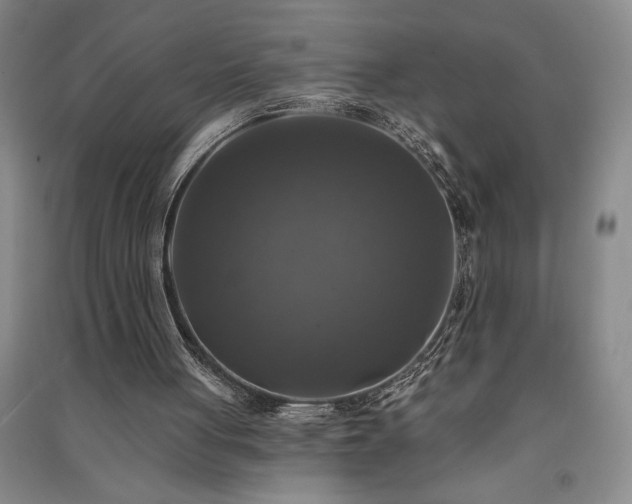 X0000091350051200708171440