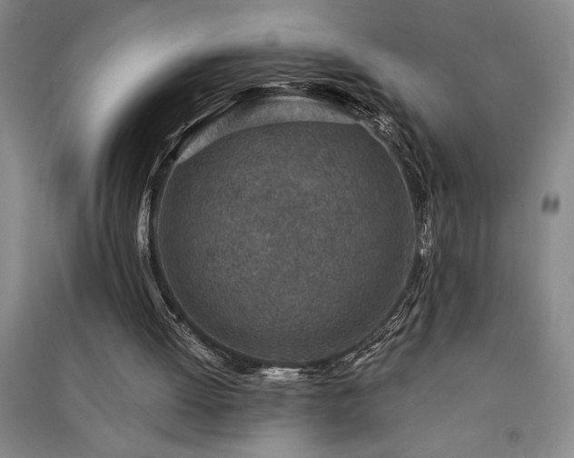 X0000091350052200708171440