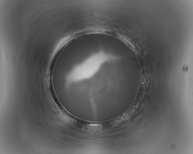 X0000091350053200708171440