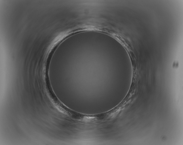 X0000091350055200708171440