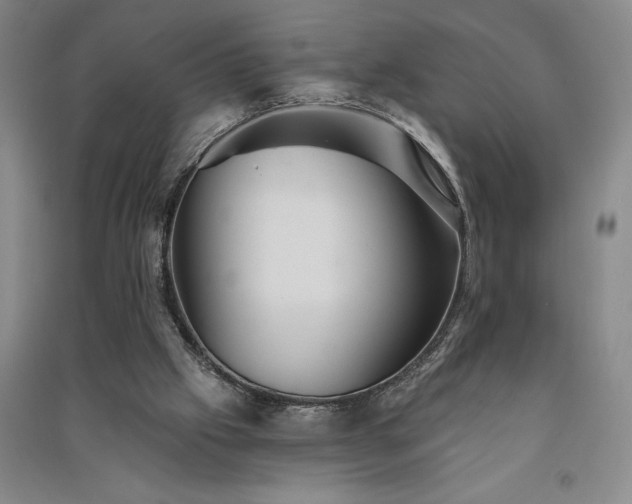 X0000091350057200708171440