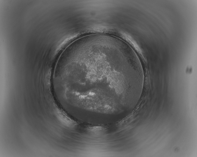 X0000091350058200708171440