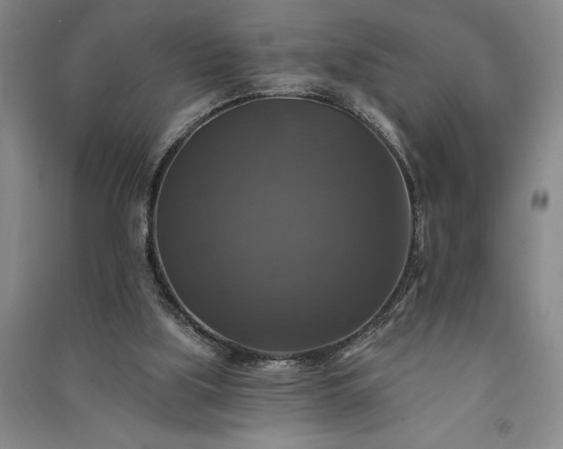 X0000091350059200708171440