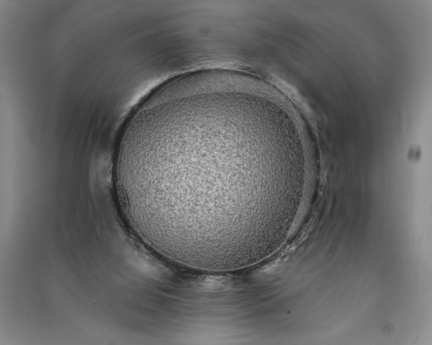 X0000091350060200708171440