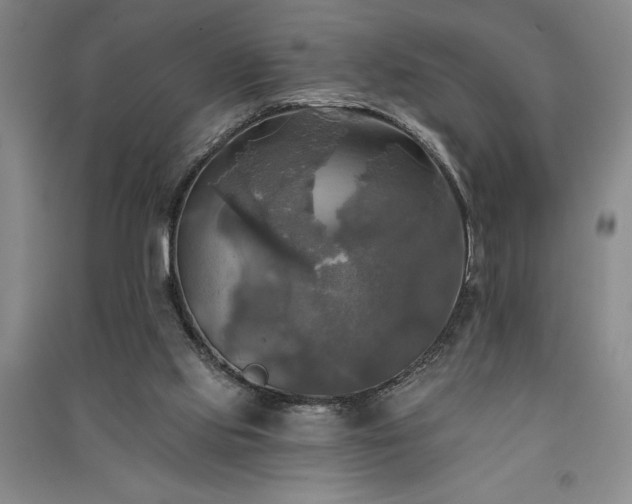 X0000091350061200708171440