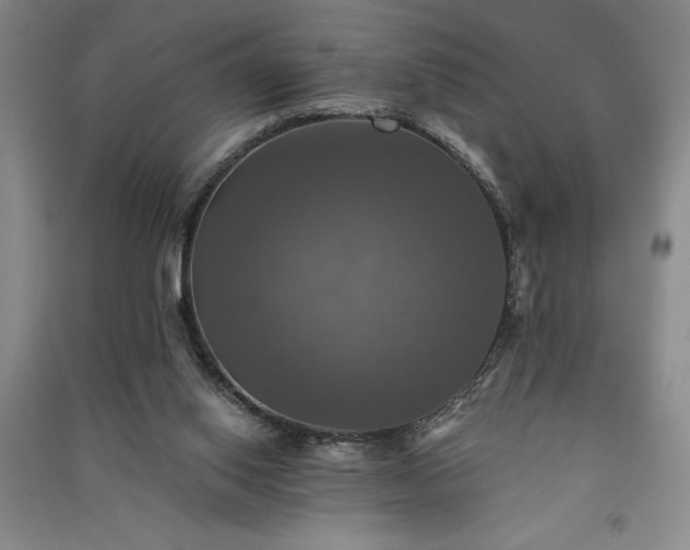 X0000091350062200708171440
