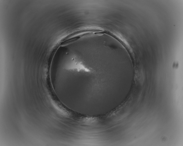 X0000091350063200708171440