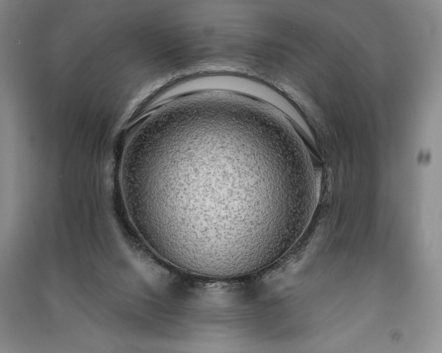 X0000091350064200708171440