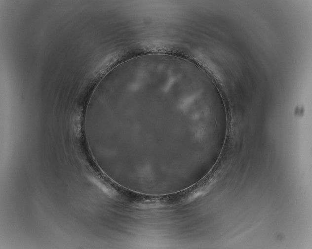 X0000091350065200708171440
