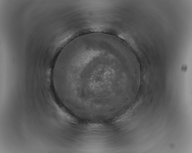 X0000091350066200708171440