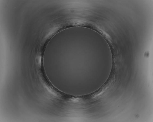 X0000091350067200708171440