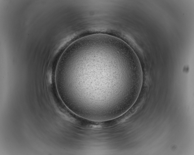 X0000091350068200708171440